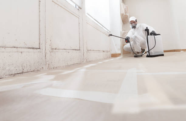 24/7 Emergency Mold Removal experts in Williamsburg, VA