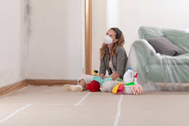 Reliable Mold Removal contractor in Williamsburg, VA by 24 Hour Mold Removal